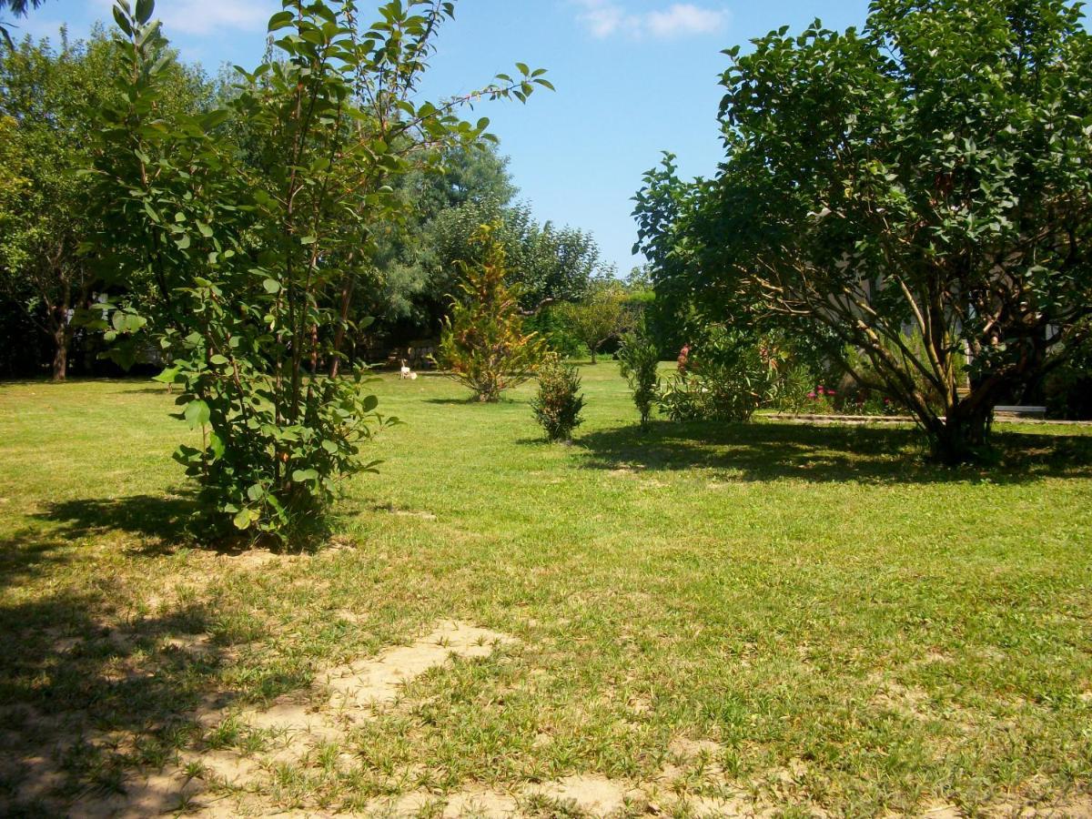 Domaine De Monein Bed & Breakfast Saint-Andre-de-Cubzac Exterior photo