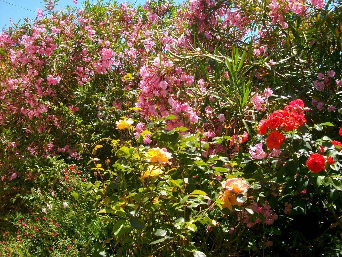 Domaine De Monein Bed & Breakfast Saint-Andre-de-Cubzac Exterior photo